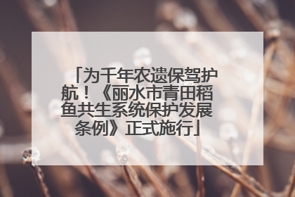 为千年农遗保驾护航！《丽水市青田稻鱼共生系统保护发展条例》正式施行