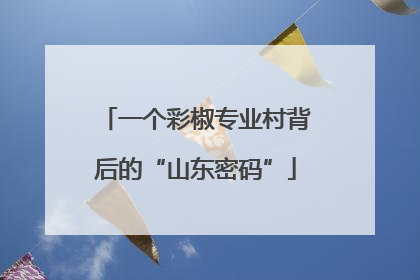 一个彩椒专业村背后的“山东密码”