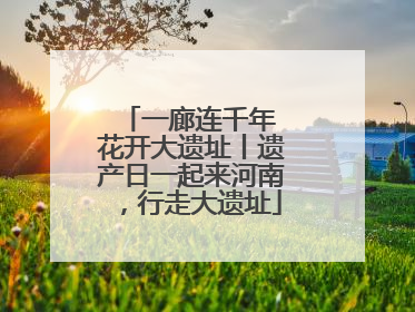 一廊连千年 花开大遗址丨遗产日一起来河南，行走大遗址