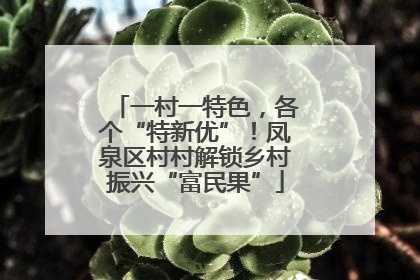 一村一特色，各个“特新优”！凤泉区村村解锁乡村振兴“富民果”