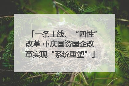 一条主线、“四性”改革 重庆国资国企改革实现“系统重塑”