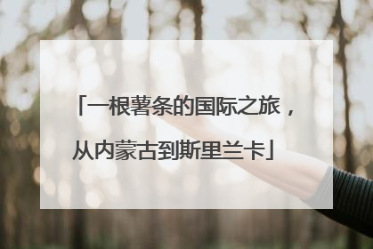一根薯条的国际之旅，从内蒙古到斯里兰卡