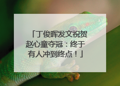 丁俊晖发文祝贺赵心童夺冠：终于有人冲到终点！