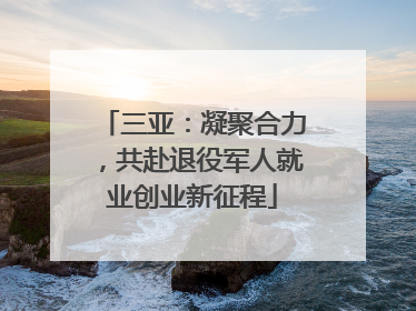 三亚：凝聚合力，共赴退役军人就业创业新征程