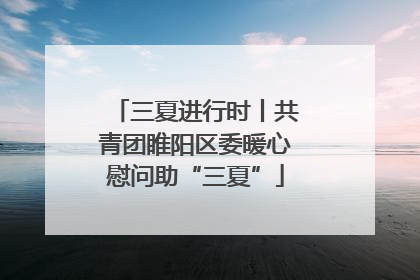 三夏进行时丨共青团睢阳区委暖心慰问助“三夏”