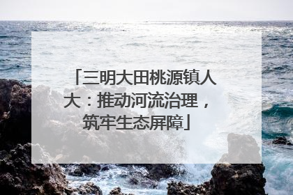 三明大田桃源镇人大：推动河流治理，筑牢生态屏障