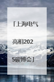 上海电气亮相2025碳博会