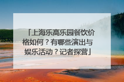 上海乐高乐园餐饮价格如何？有哪些演出与娱乐活动？记者探营