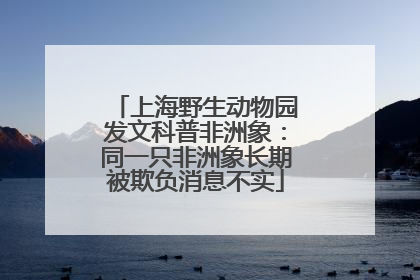 上海野生动物园发文科普非洲象：同一只非洲象长期被欺负消息不实
