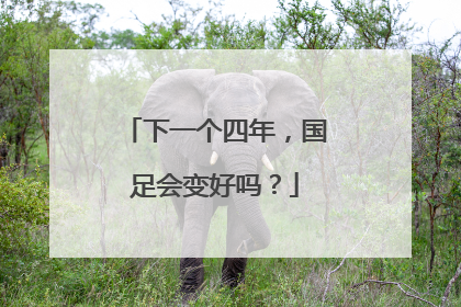 下一个四年，国足会变好吗？