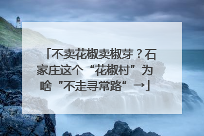 不卖花椒卖椒芽？石家庄这个“花椒村”为啥“不走寻常路”→
