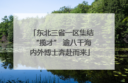 东北三省一区集结“揽才” 逾八千海内外博士奔赴而来