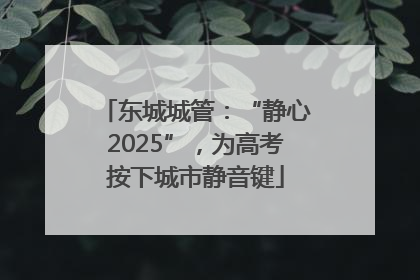 东城城管：“静心2025”，为高考按下城市静音键