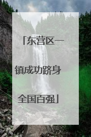 东营区一镇成功跻身全国百强