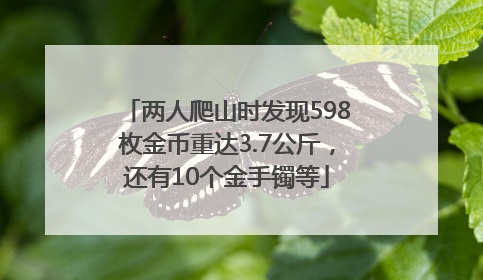 两人爬山时发现598枚金币重达3.7公斤，还有10个金手镯等