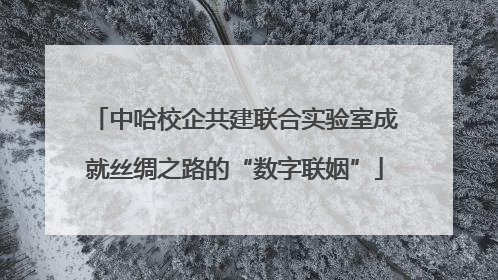 中哈校企共建联合实验室成就丝绸之路的“数字联姻”