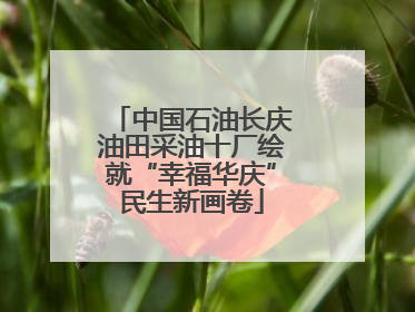 中国石油长庆油田采油十厂绘就“幸福华庆”民生新画卷
