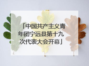 中国共产主义青年团宁远县第十九次代表大会开幕