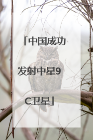 中国成功发射中星9C卫星