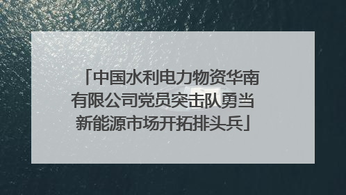 中国水利电力物资华南有限公司党员突击队勇当新能源市场开拓排头兵