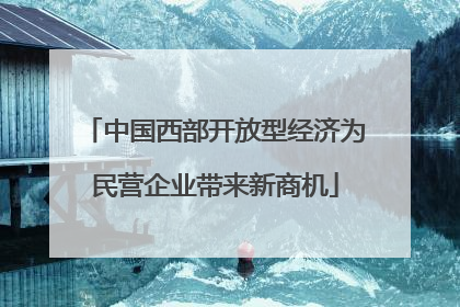 中国西部开放型经济为民营企业带来新商机