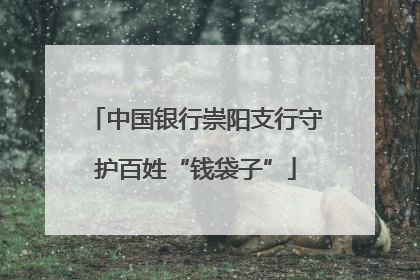 中国银行崇阳支行守护百姓“钱袋子”