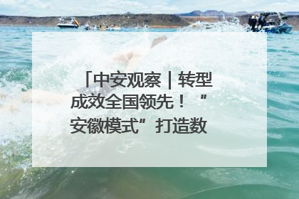 中安观察｜转型成效全国领先！“安徽模式”打造数字化转型新标杆