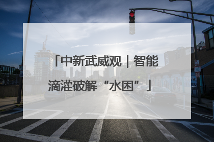 中新武威观｜智能滴灌破解“水困”