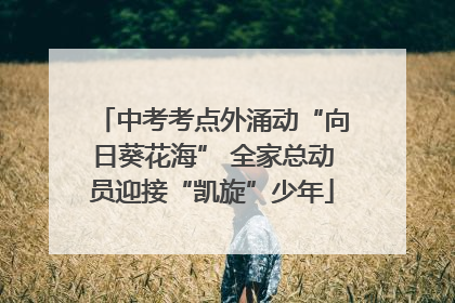 中考考点外涌动“向日葵花海” 全家总动员迎接“凯旋”少年