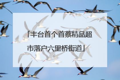 丰台首个首蔡精品超市落户六里桥街道
