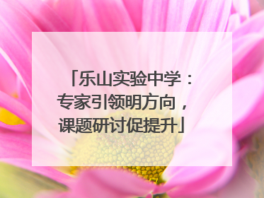乐山实验中学：专家引领明方向，课题研讨促提升
