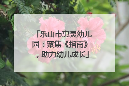 乐山市惠灵幼儿园：聚焦《指南》，助力幼儿成长