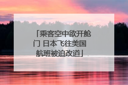 乘客空中欲开舱门 日本飞往美国航班被迫改道