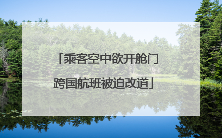 乘客空中欲开舱门 跨国航班被迫改道