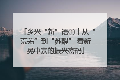 乡兴“新”语①丨从“荒芜”到“苏醒” 看新晃中寨的振兴密码