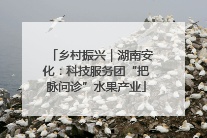 乡村振兴｜湖南安化：科技服务团“把脉问诊”水果产业