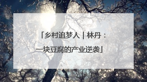 乡村追梦人｜林丹：一块豆腐的产业逆袭