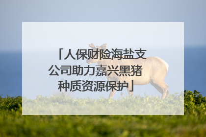 人保财险海盐支公司助力嘉兴黑猪种质资源保护