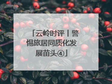 云岭时评丨警惕旅居同质化发展苗头④