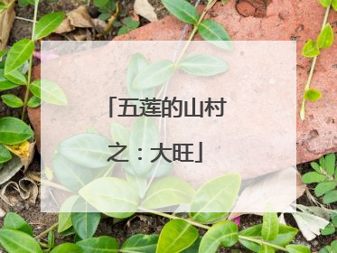 五莲的山村之：大旺