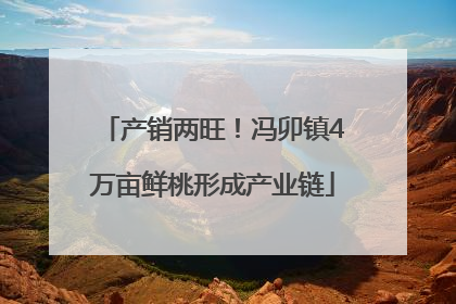 产销两旺！冯卯镇4万亩鲜桃形成产业链