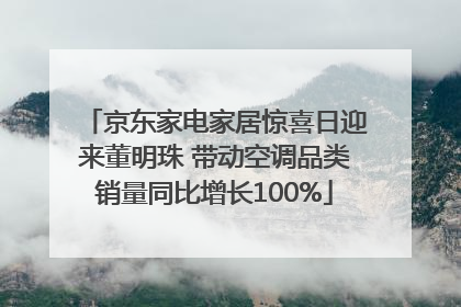 京东家电家居惊喜日迎来董明珠 带动空调品类销量同比增长100%