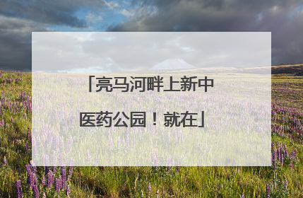 亮马河畔上新中医药公园！就在