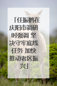 任振鹤在庆阳市调研时强调 坚决守牢底线任务 加快推动老区振兴