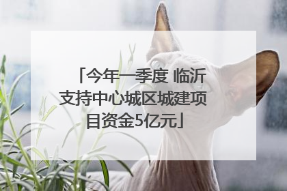 今年一季度 临沂支持中心城区城建项目资金5亿元