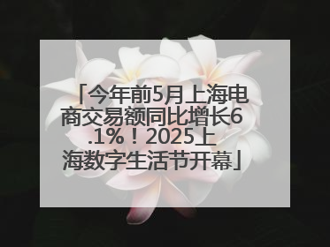 今年前5月上海电商交易额同比增长6.1%！2025上海数字生活节开幕