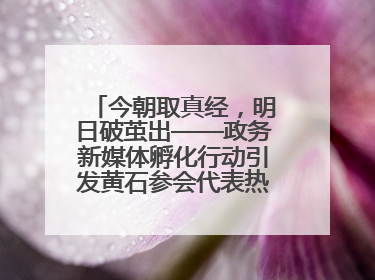 今朝取真经，明日破茧出——政务新媒体孵化行动引发黄石参会代表热烈反响