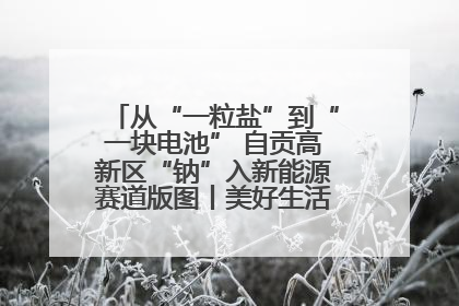 从“一粒盐”到“一块电池” 自贡高新区“钠”入新能源赛道版图丨美好生活有“盐”味