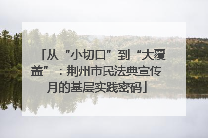 从“小切口”到“大覆盖”：荆州市民法典宣传月的基层实践密码