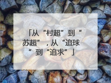 从“村超”到“苏超”，从“追球”到“追求”